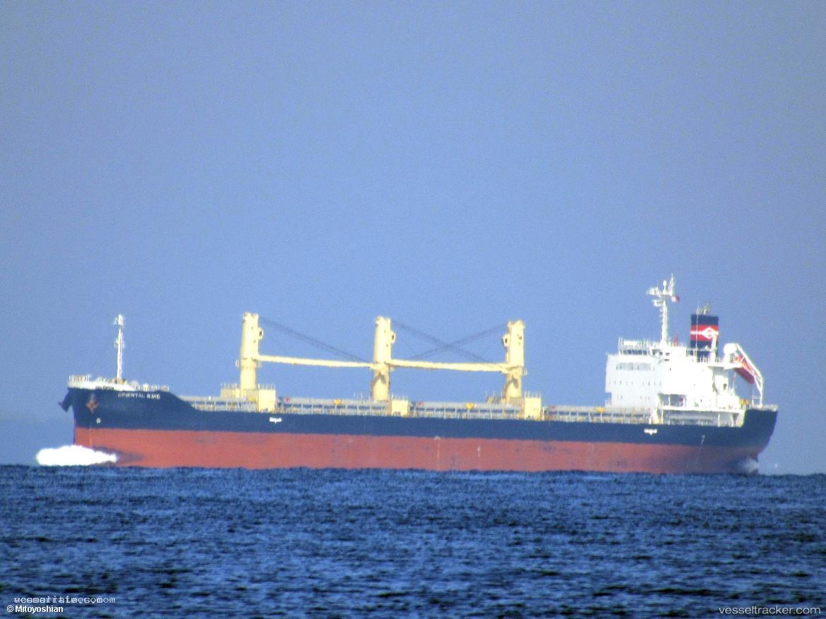 Oriental-King - Bulk Carrier vessel registered in Panama
