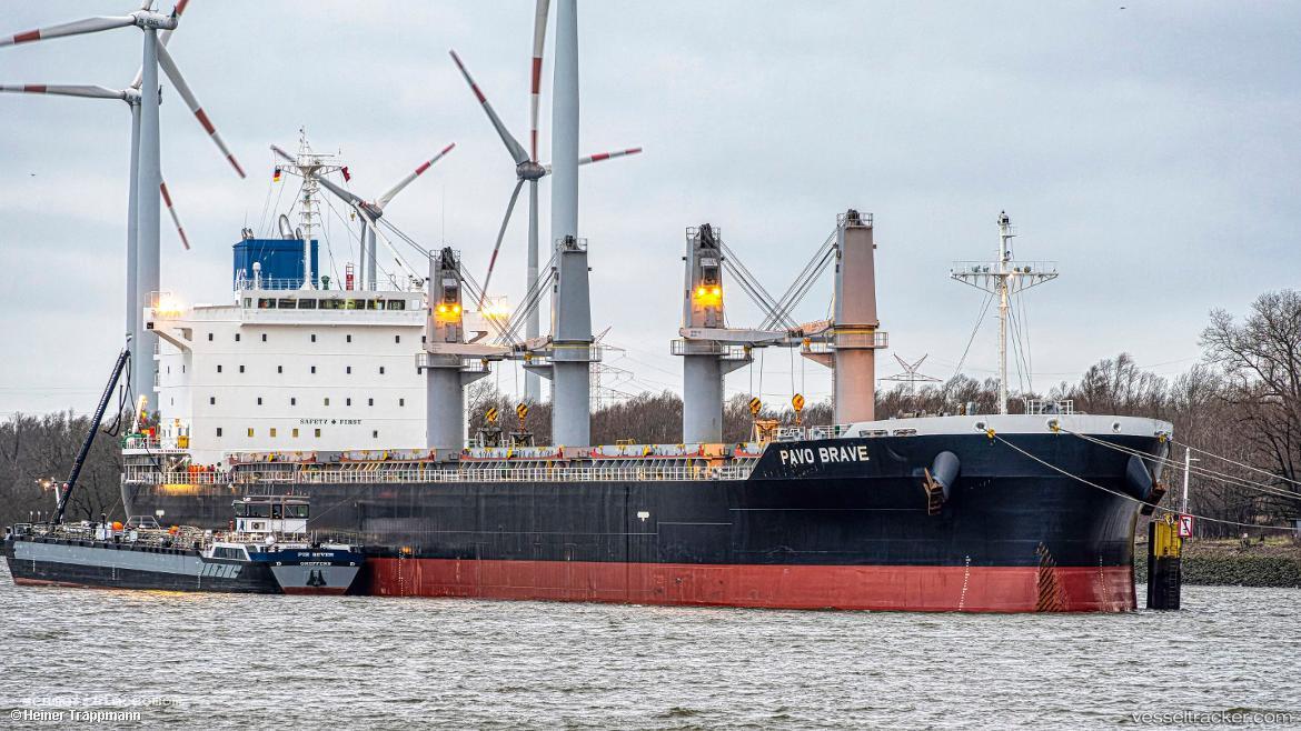Pavo-Brave - Bulk Carrier vessel registered in Panama