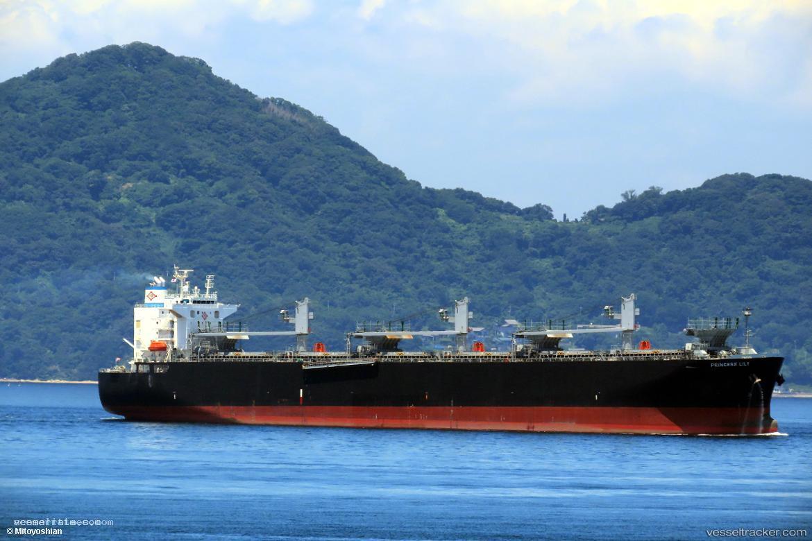 Princess-Lily - Wood Chips Carrier vessel registered in Liberia