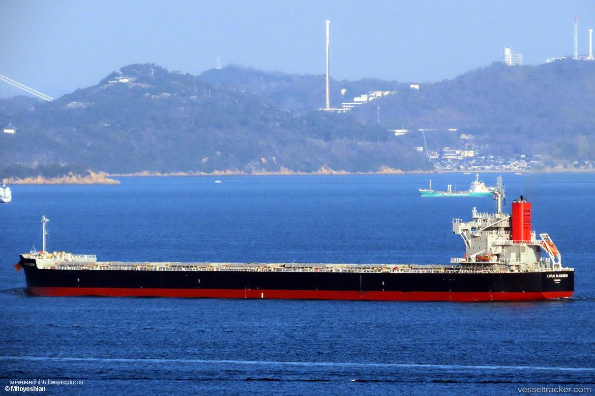 Lotus-Blossom - Bulk Carrier vessel registered in Panama