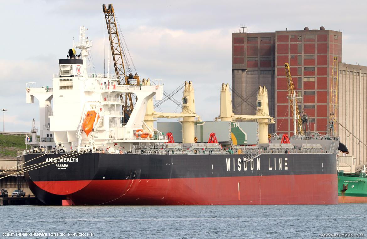 Amis-Wealth - Bulk Carrier