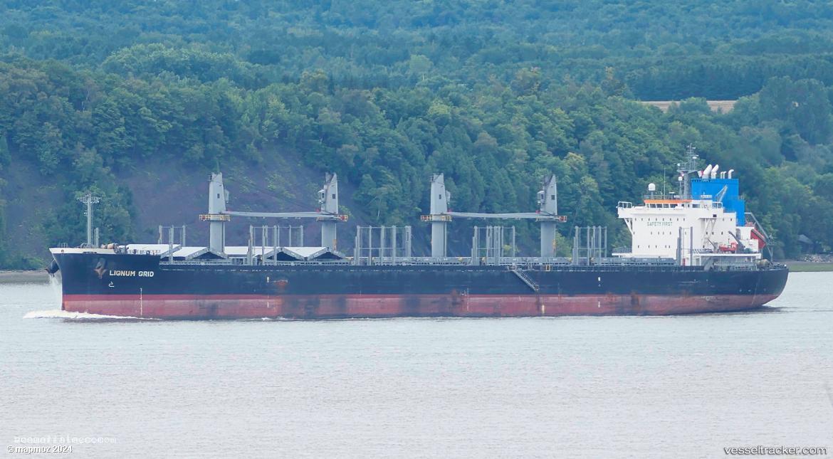 Lignum-Grid - Bulk Carrier vessel registered in Panama