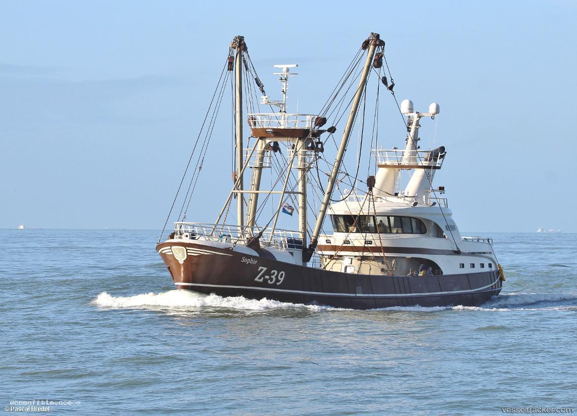 Sophie-Z39 - Fishing Vessel vessel registered in Belgium