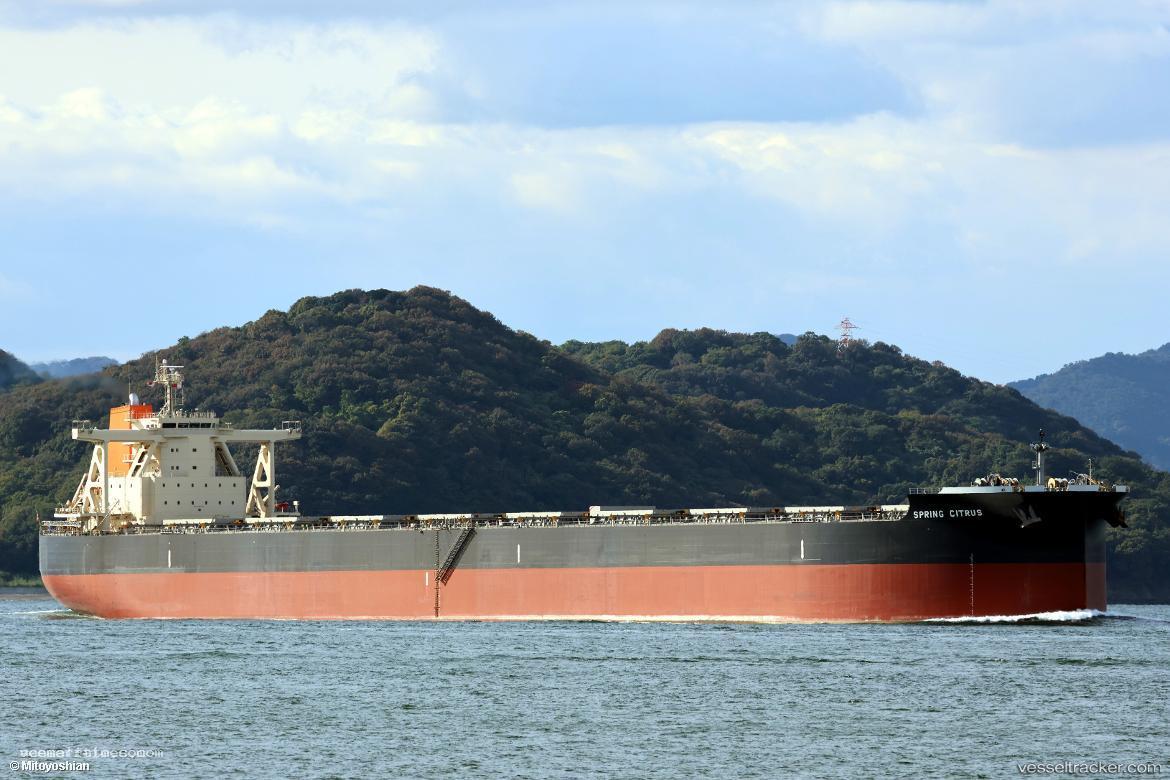 Spring-Citrus - Bulk Carrier vessel registered in Panama