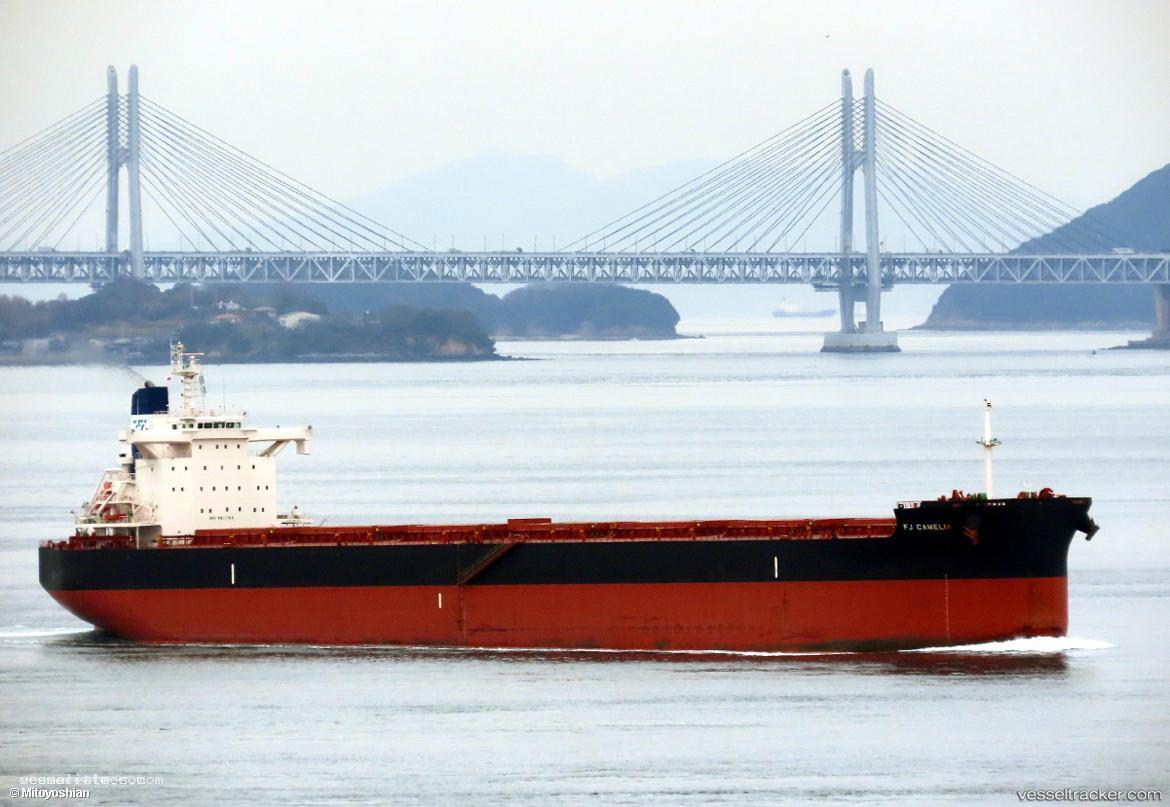 Fj-Camelia - Bulk Carrier vessel registered in Marshall Islands