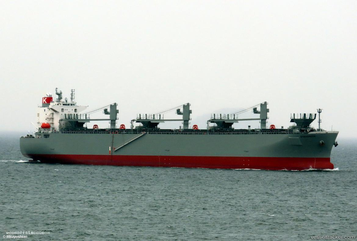 Dynagreen - Wood Chips Carrier vessel registered in Japan