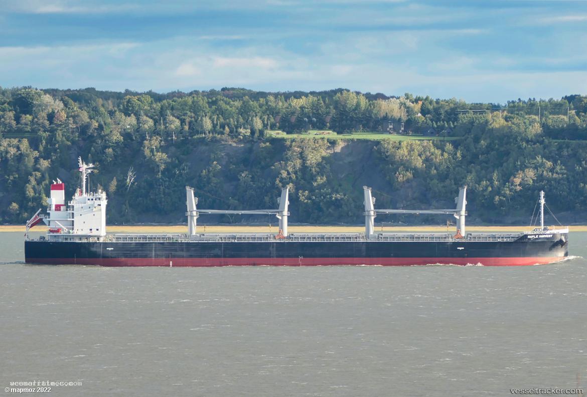 Maple-Harvest - Bulk Carrier vessel registered in Panama