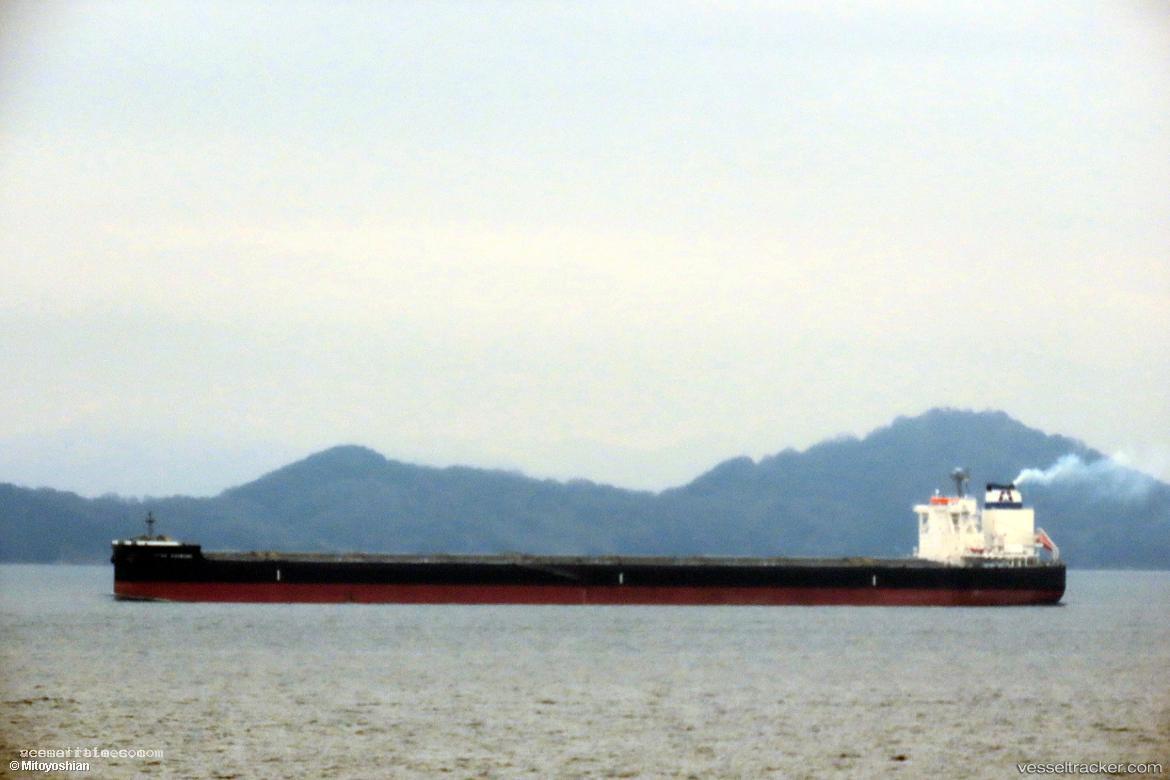 Star-Shibumi - Bulk Carrier vessel registered in Panama