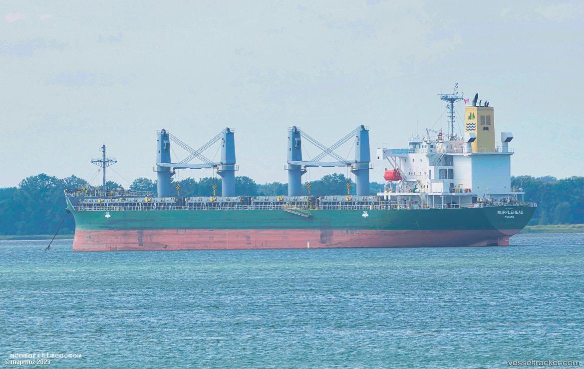 Bufflehead - Bulk Carrier vessel registered in Panama
