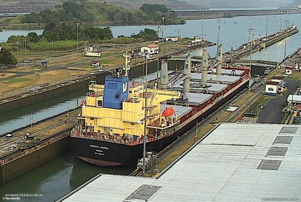 Pacific-Laurel - Bulk Carrier vessel registered in Panama