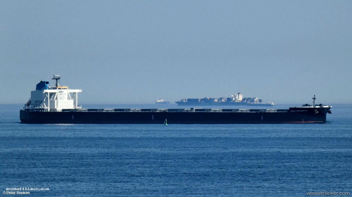 Cape-Diversity - Bulk Carrier vessel registered in Panama