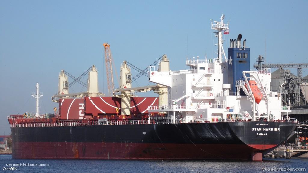 Star-Harrier - Bulk Carrier vessel registered in Panama