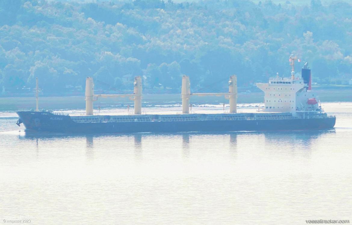 Alerce - Bulk Carrier