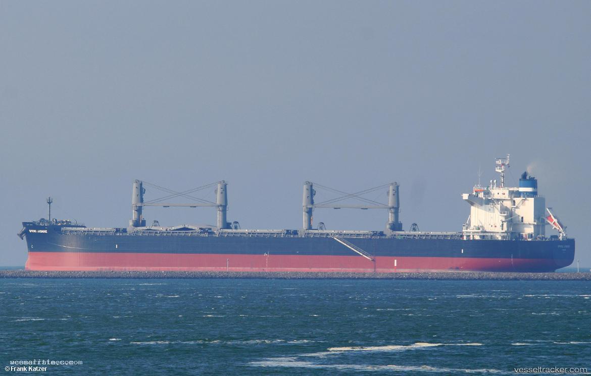 Spring-Jasmine - Bulk Carrier vessel registered in Panama