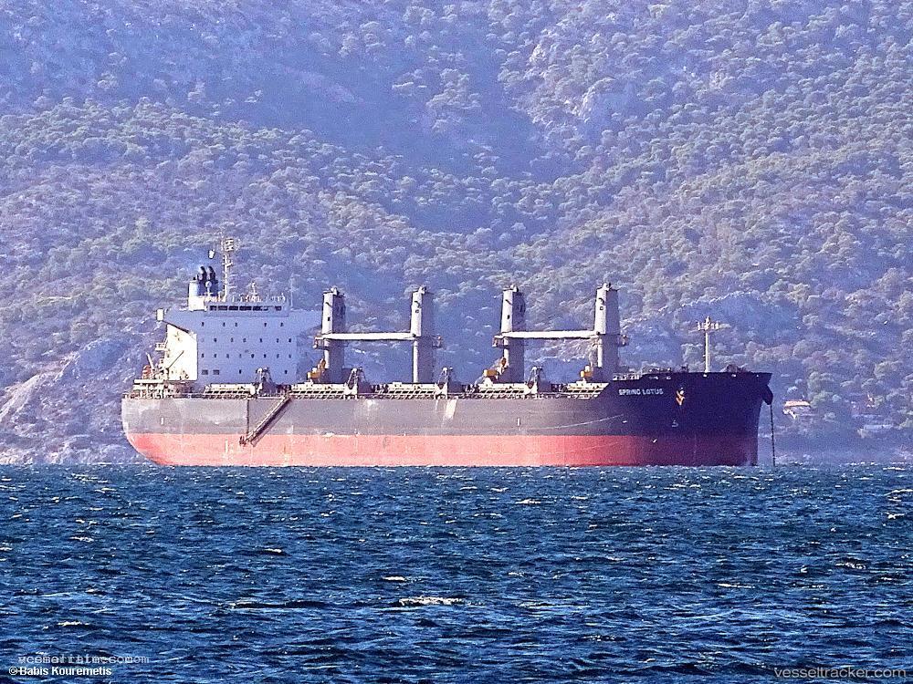 Spring-Lotus - Bulk Carrier vessel registered in Panama