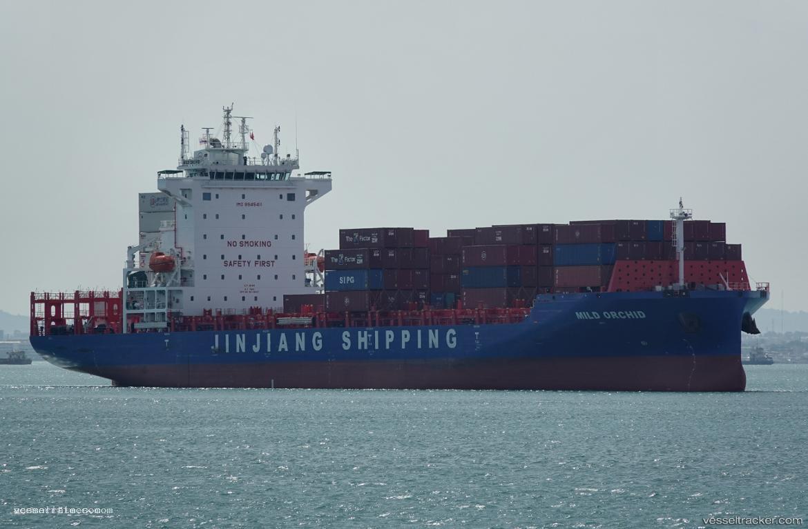 Mild-Orchid - Container Ship vessel registered in Hong Kong