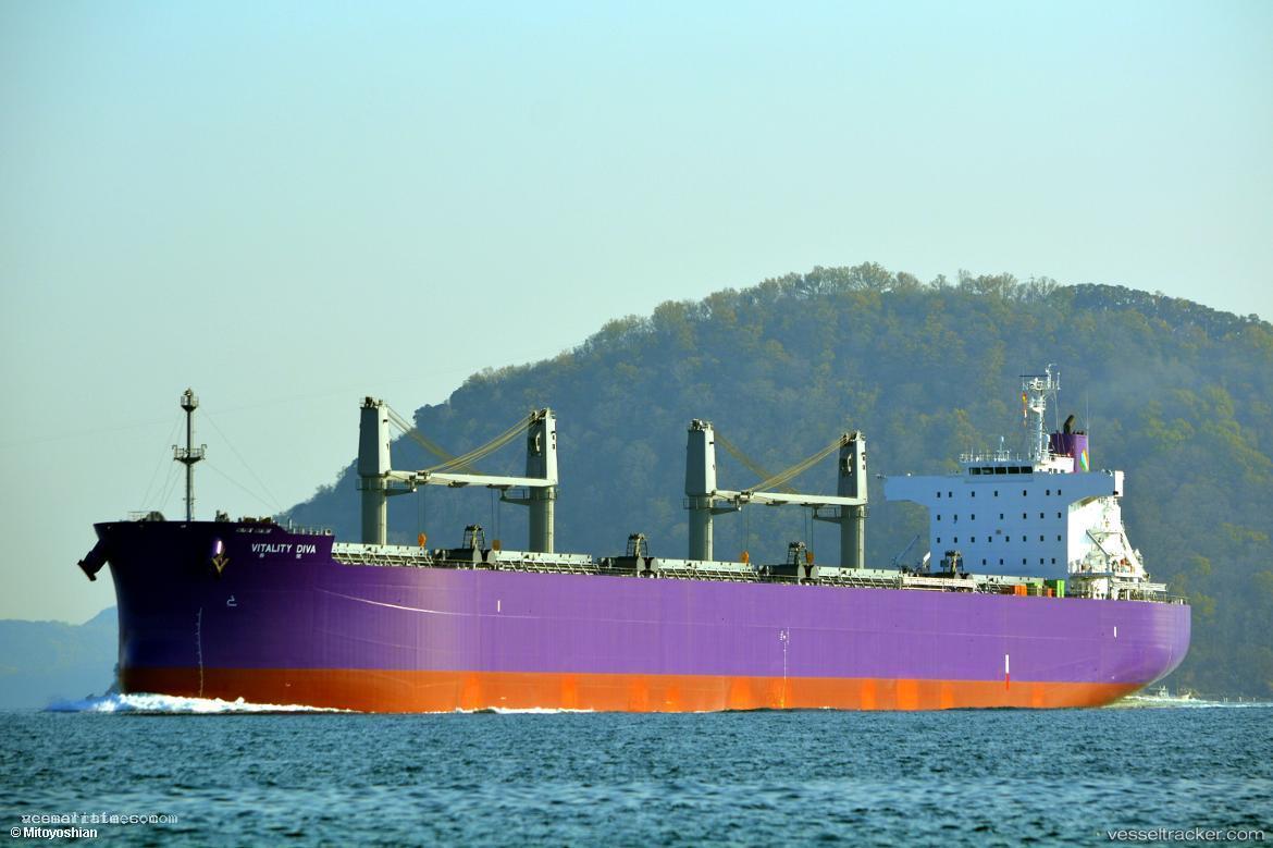 Vitality-Diva - Bulk Carrier vessel registered in Panama