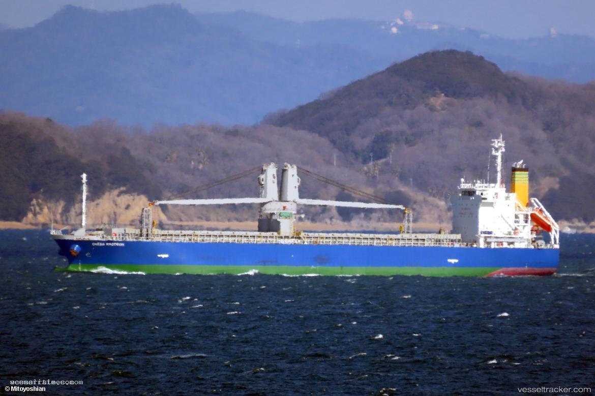 Green-Raccoon - General Cargo Ship vessel registered in Panama