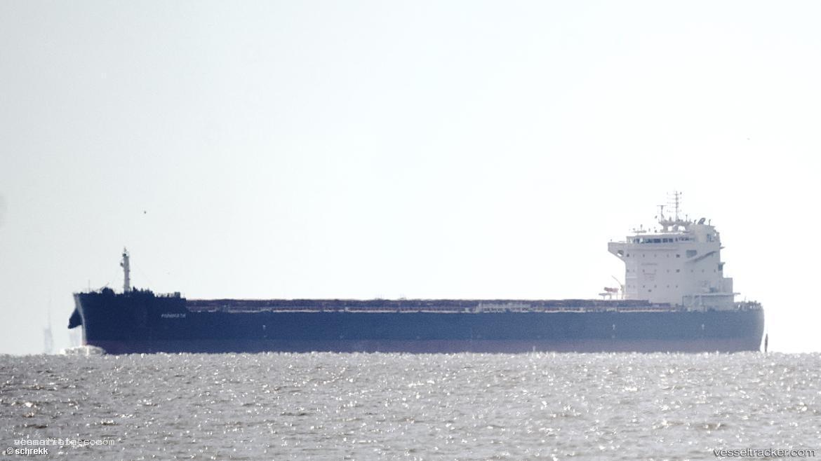Minimata - Bulk Carrier vessel registered in Panama