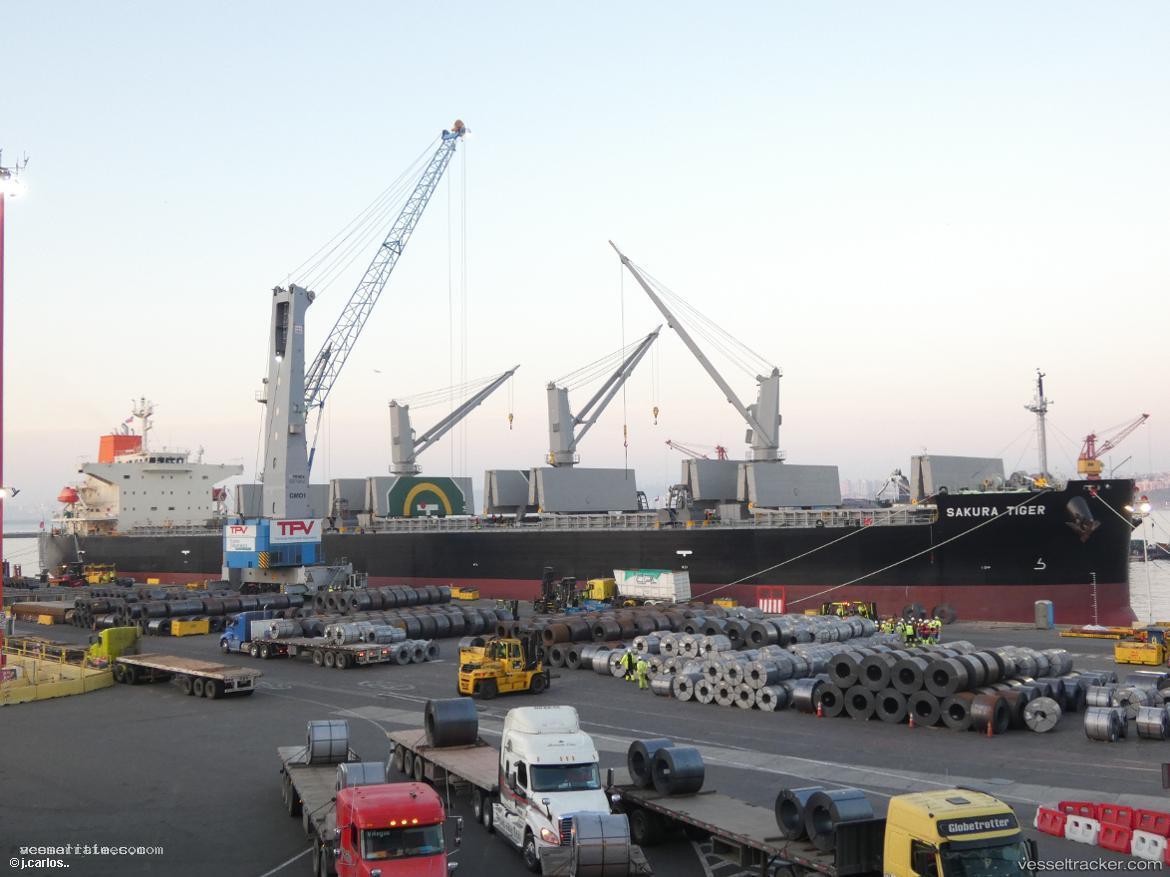 Sakura-Tiger - Bulk Carrier vessel registered in Panama