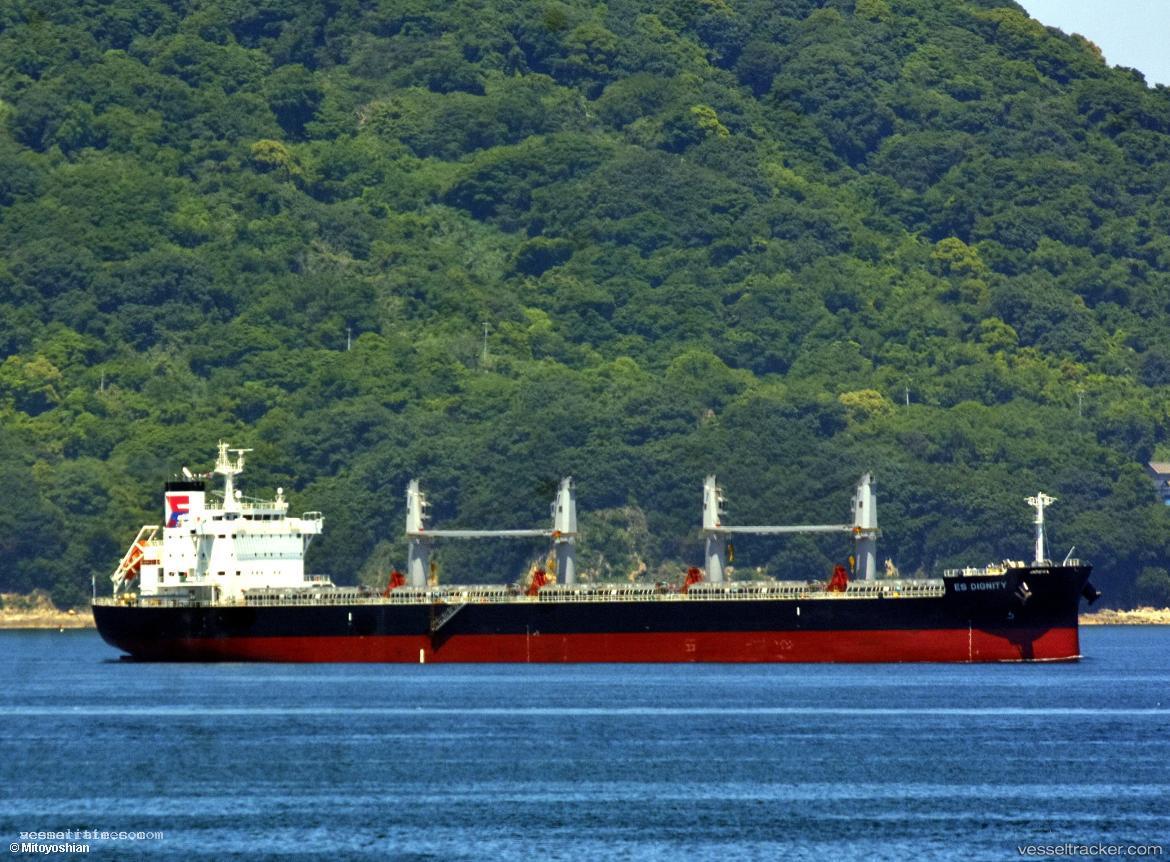 Es-Dignity - Bulk Carrier vessel registered in Panama