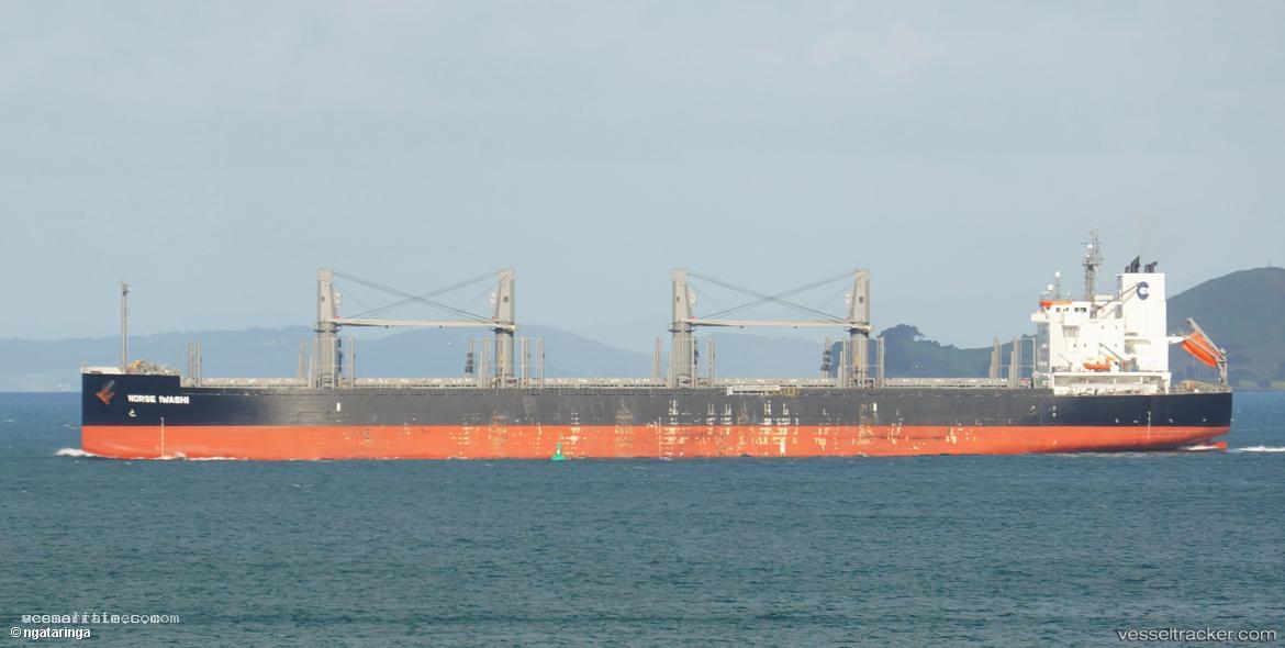 Norse-Iwashi - Bulk Carrier vessel registered in Panama