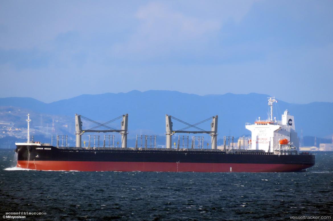 Lignum-Nexus - Bulk Carrier vessel registered in Singapore