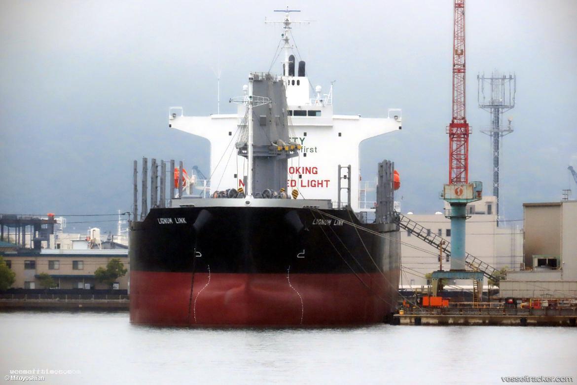 Lignum-Link - Bulk Carrier vessel registered in Singapore