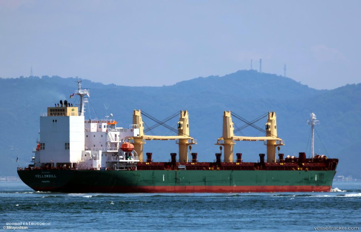 Yellowbill - Bulk Carrier vessel registered in Panama
