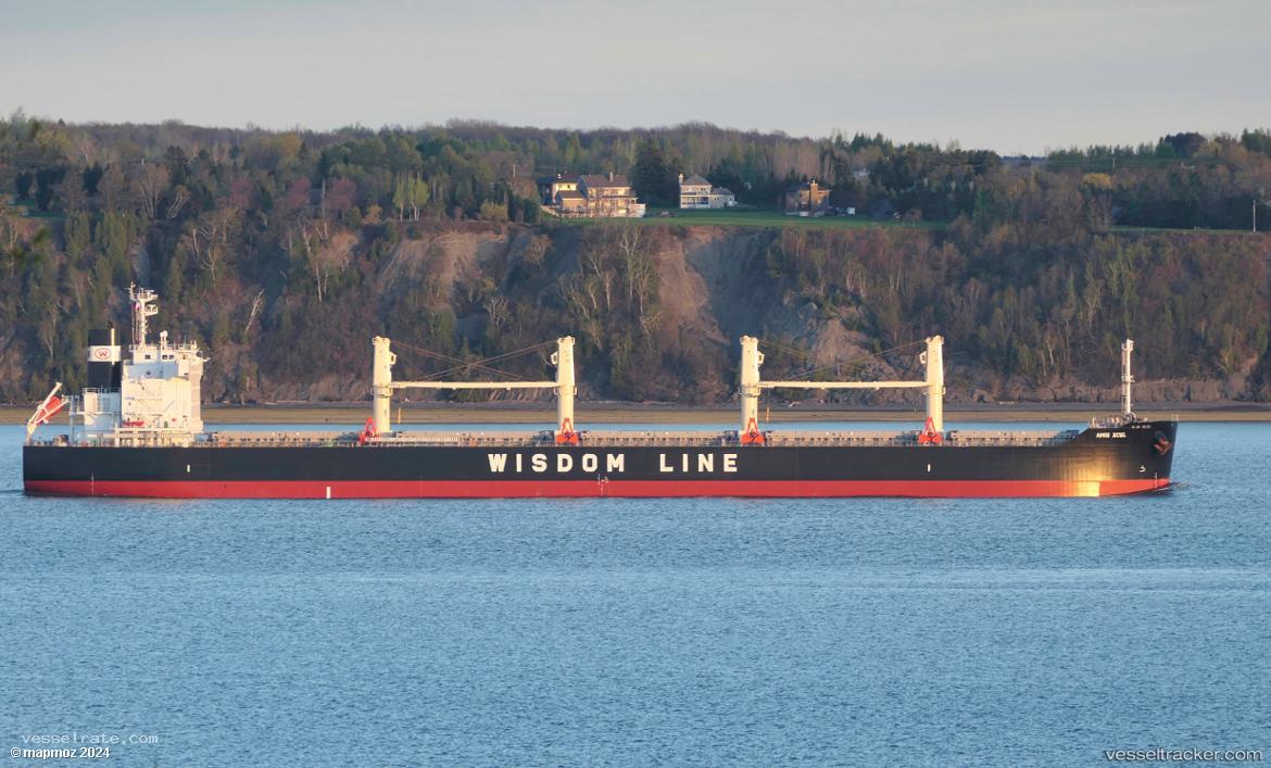 Amis-Xcel - Bulk Carrier