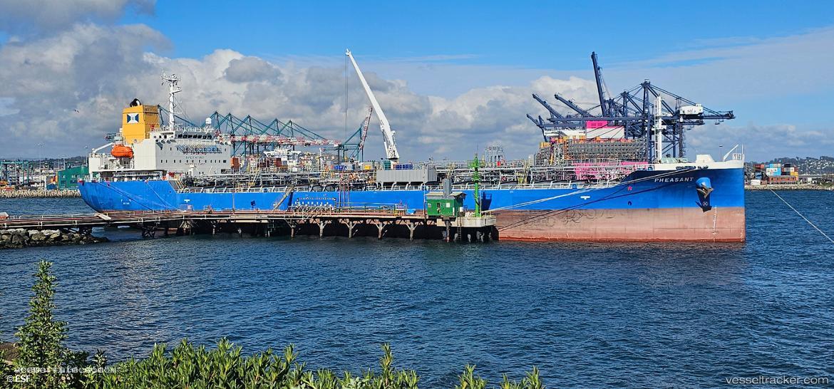 Pheasant - Oil Products Tanker vessel registered in Singapore