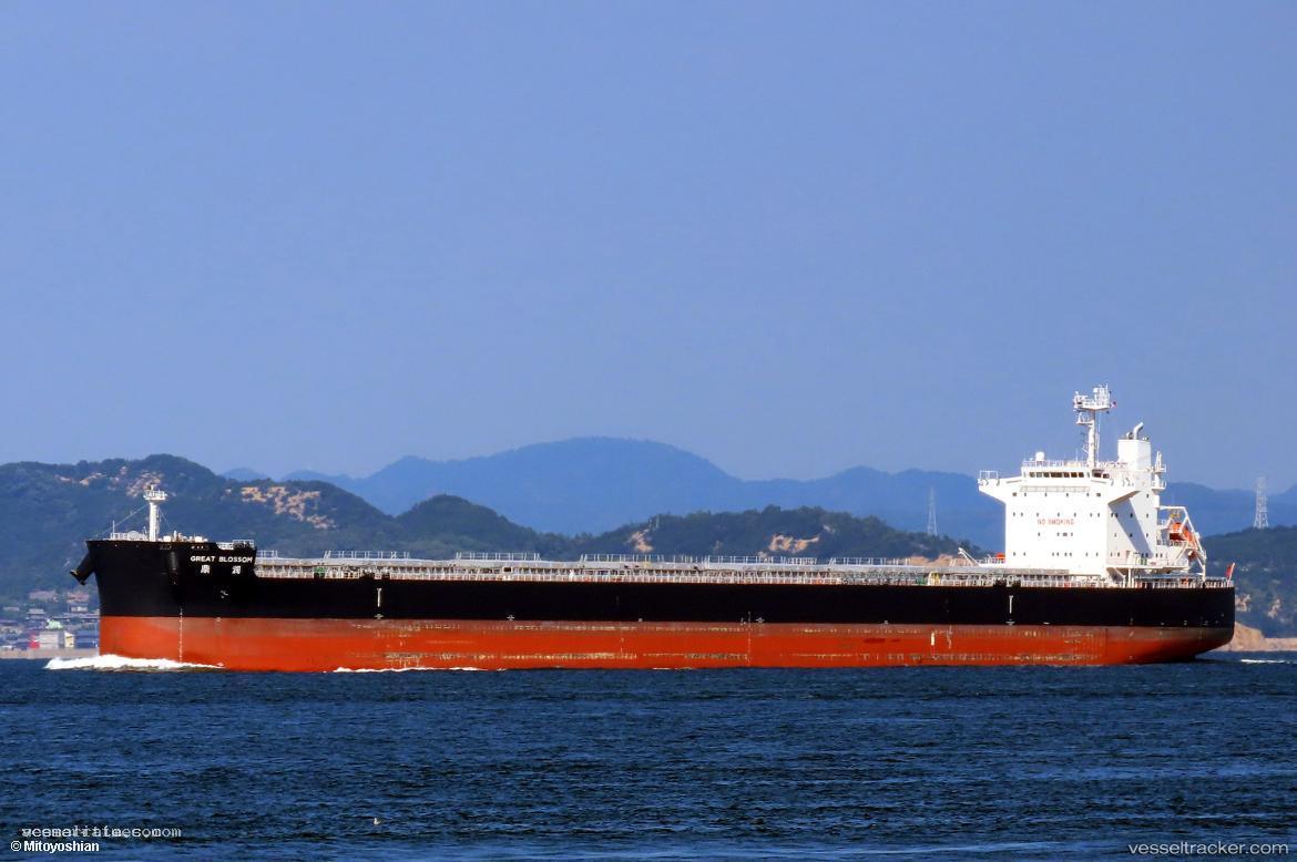 Great-Blossom - Bulk Carrier vessel registered in Hong Kong
