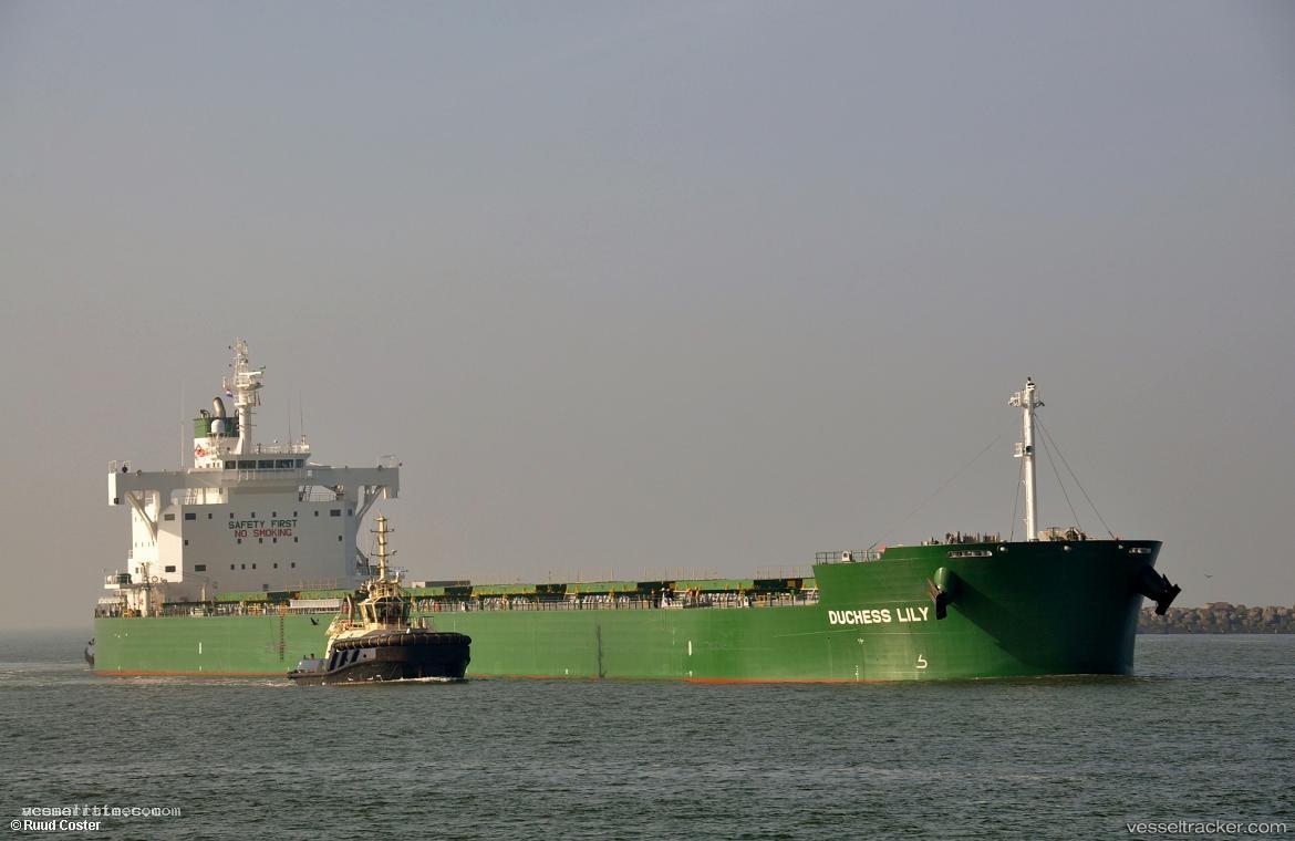Duchess-Lily - Bulk Carrier vessel registered in Panama